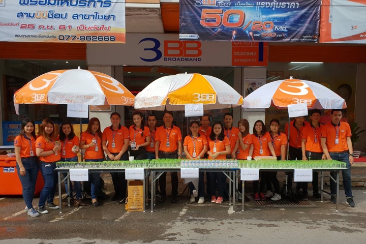 3BB สุราษฎร์ธานีได้จัดกิจกรรมชักพุ่มผ้าป่าสามัคคีและชักพระประจำปี 2561